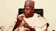 2019 : Kashim Shettima yana kokwanton tsayawa takarar kujerar sanata