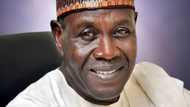 Babagana Kingibe denies planning to run for president in 2019
