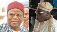 These 2 people destroyed Nigeria’s democracy - Tony Momoh reveals