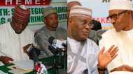 Atiku, Buhari's 2019 presidential ambition divides northern youths