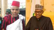 These 4 things might happen if Nnamdi Kanu is rearrested