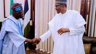 Buhari is deceiving Tinubu and Tinubu is deceiving Buhari, Adebanjo insists