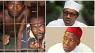 Presidency denies earlier reports that Buhari freed prison inmates in Kano; reveals who actually did