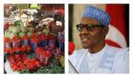 GOOD NEWS: President Buhari finally moves Nigeria out of recession as economy grows stronger