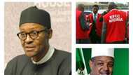 Don’t allow indicted APC members go unpunished, Nigerian writes open letter to Buhari