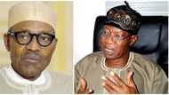 These are the 3 reasons why restructuring is not Buhari’s priority - Minister