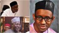 Adamawa 2019: Murtala Nyako da Babachir sun ingizo Nuhu Ribadu ya fito takarar Gwamna