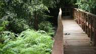 Best Place To Experience Nature In Lagos This Weekend