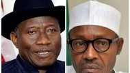 Buhari, Jonathan, Obasanjo, other Nigerian leaders lack commitments - Foundation accuses