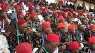 Ohaneze reacts to alleged killing of Fulani by IPOB