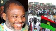 South East group attacks Nnamdi Kanu, vows voting will hold in Anambra governorship election