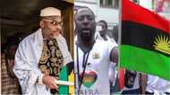 You are playing with fire - Nnamdi Kanu, IPOB get serious warning ahead of Anambra election