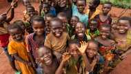 Just in: Read what Senate has asked FG to do for Nigerian children