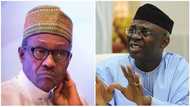 Buhari’s shoot-on-sight order has not proved to be sufficient - Pastor Bakare declares