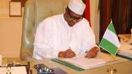 Panic as federal government’s bid for $29billlion loan comes under threat