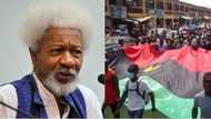 Biafrans were defeated on battlefield, but not crushed - Wole Soyinka