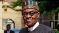 Zamu gyara kundin tsarin mulki don Buhari ya zama shugaban kasa na dun-dun-dun - Dan takarar Sanata daga arewa
