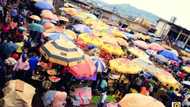 NBS unemployment, poverty figures inaccurate many Nigerians work in shops, markets across the country