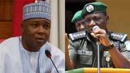 Just in: Court permits IGP to sue Saraki, Senate for calling him enemy of democracy
