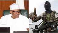 Niger Delta agitators demand Buhari’s resignation, vow to stage massive protest from September 12