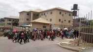 Nigerian Army raises alarm over plan by Amnesty International to publish false report