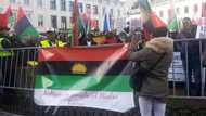 Unbelievable: See what Biafrans across Europe did to EU parliament in Brussels (photos/video)