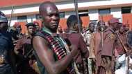 Just In: Unknown gunmen kill Buhari, commander of Civilian Joint Task Force (CJTF)