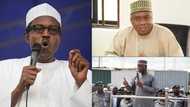 How Buhari's alleged threat forced Hameed Ali to run to Saraki, president reportedly warns appointees