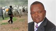 Herdsmen still attacking villages at night - Governor Ortom cries out for more military presence