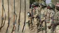 Exercise Cat Race: Soldiers recover weapons during cordon and search in Taraba