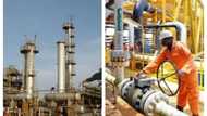 Excitement as US-based businessman to establish N2bn refinery in Edo