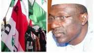 PDP celebrates 19-year anniversary, lists some of its achievements