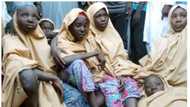 Dapchi parents reveal what Boko Haram terrorists told them after releasing their children