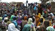 34,000 Cameroonian refugees in 6 LGAs Cross River - SEMA states as it asks for support