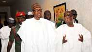 Buhari can beat his chest on 3 important areas he has succeeded - Lai Mohammed