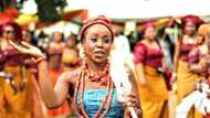 Check out amazing facts about the Igbo people