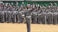 Boko Haram attacks: 26 customs officers reportedly killed