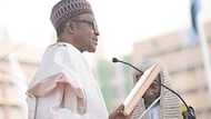 We Regret Voting Buhari - Yoruba Elders