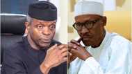 If we don’t handle it carefully, we may put the country in a civil war - Osinbajo on herdsmen killings