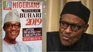 Why Buhari is still the best choice for presidency in 2019 - Adeyemi