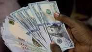 Naira maintains N363 rate against Dollar