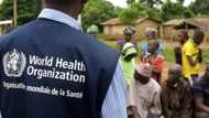 World Health Organization: functions and achievements