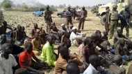 70 Boko Haram insurgents surrender in Borno