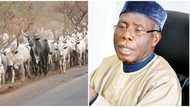 FG distances self from defence minister’s comments on anti-grazing law