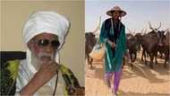 Duk Gwamnan da ya hana kiwon dabbobi, bai nemi zaman lafiya ba – Inji Shehi Dahiru Bauchi