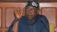 Tension as APC leaders, Tinubu disagree over governorship candidate