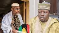 Breaking: Arewa youths finally bow to pressure, withdraw Igbo quit notice