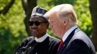 Babu yarjejeniyar da nayi da Donald Trump, tattaunawa kawai muka yi - Buhari