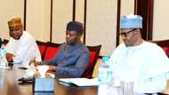 Kwankwaso da wasu Jiga-jigan APC sama da 50 na tunanin barin Jam’iyya