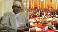 Lawmaker’s jumbo pay is criminal, illegal; cut it off from budget - Group tells Buhari